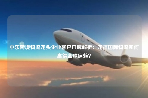 中东跨境物流龙头企业客户口碑解析：龙禧国际物流如何赢得全球信赖？