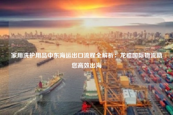 家用洗护用品中东海运出口流程全解析：龙禧国际物流助您高效出海