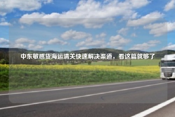 中东敏感货海运清关快速解决渠道，看这篇就够了