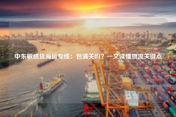中东敏感货海运专线：包清关吗？一文读懂物流关键点