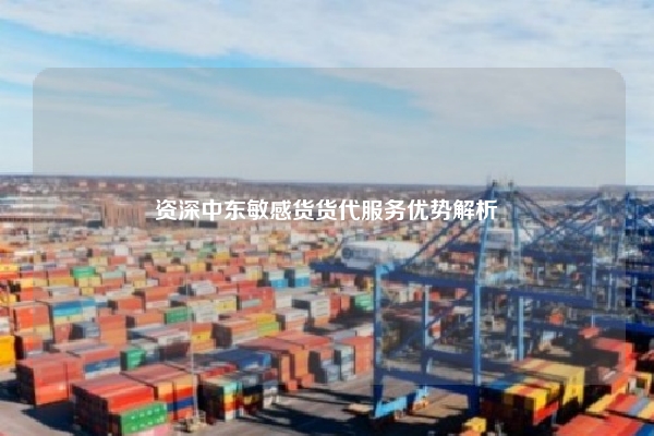 资深中东敏感货货代服务优势解析