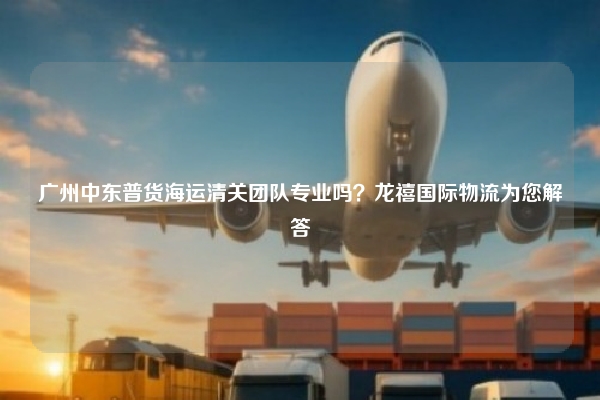 广州中东普货海运清关团队专业吗？龙禧国际物流为您解答