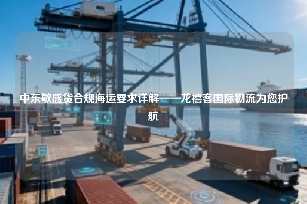 中东敏感货合规海运要求详解——龙禧客国际物流为您护航