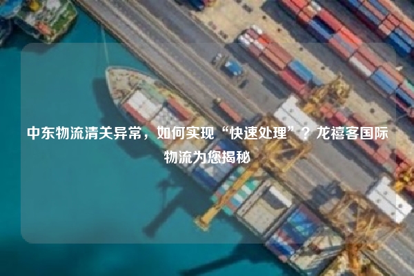 中东物流清关异常,如何实现“快速处理”?龙禧客国际物流为您揭秘