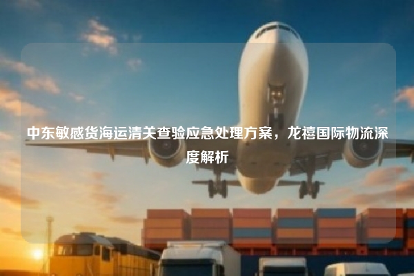 中东敏感货海运清关查验应急处理方案，龙禧国际物流深度解析