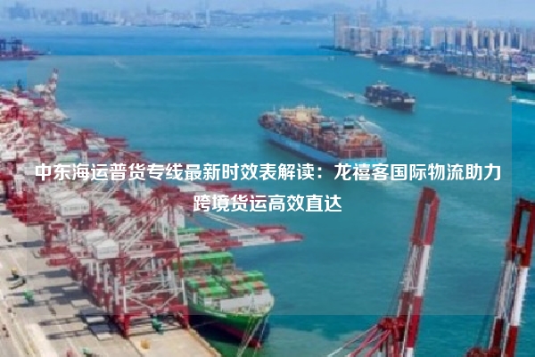 中东海运普货专线最新时效表解读：龙禧客国际物流助力跨境货运高效直达