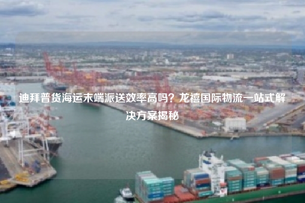 迪拜普货海运末端派送效率高吗？龙禧国际物流一站式解决方案揭秘